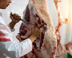 BUY 1/4, 1/2 OR WHOLE